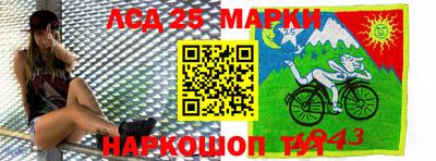 Альфа ПВП Сланцы
