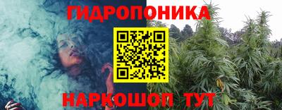 Альфа ПВП Сланцы