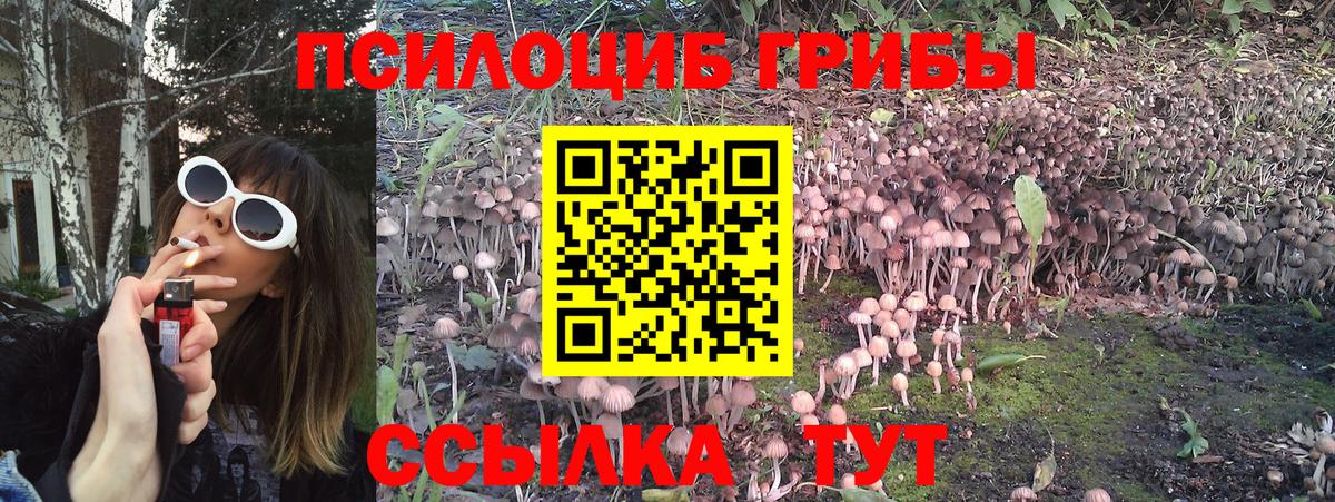 Псилоцибиновые грибы Magic Shrooms Соль-Илецк